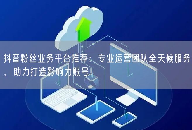 抖音粉丝业务平台推荐：专业运营团队全天候服务，助力打造影响力账号！