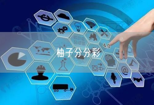 柚子分分彩