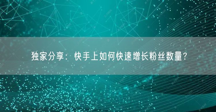 独家分享：快手上如何快速增长粉丝数量？