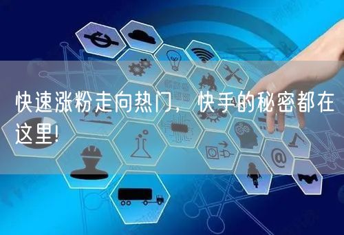 快速涨粉走向热门，快手的秘密都在这里!
