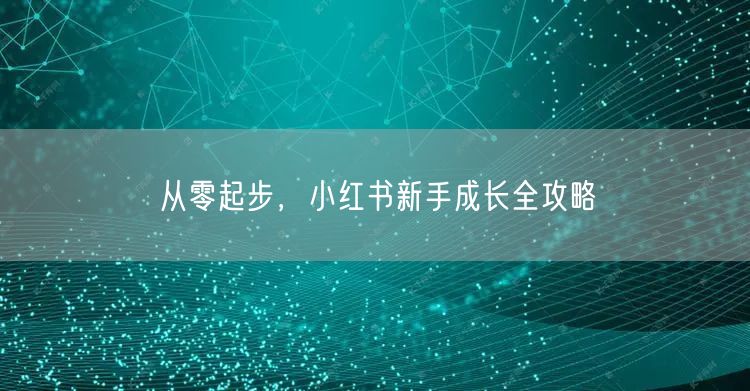 从零起步，小红书新手成长全攻略