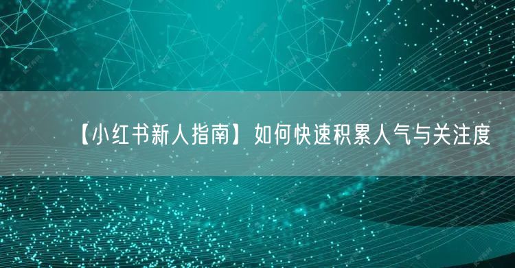 【小红书新人指南】如何快速积累人气与关注度
