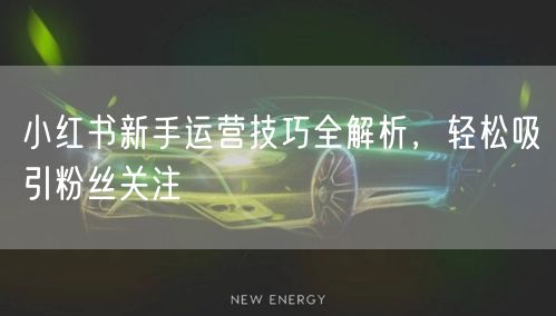 小红书新手运营技巧全解析，轻松吸引粉丝关