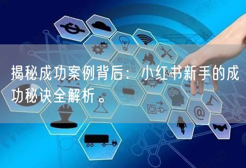 揭秘成功案例背后：小红书新手的成功秘诀全