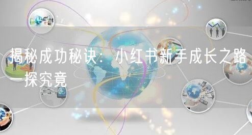 揭秘成功秘诀：小红书新手成长之路一探究竟